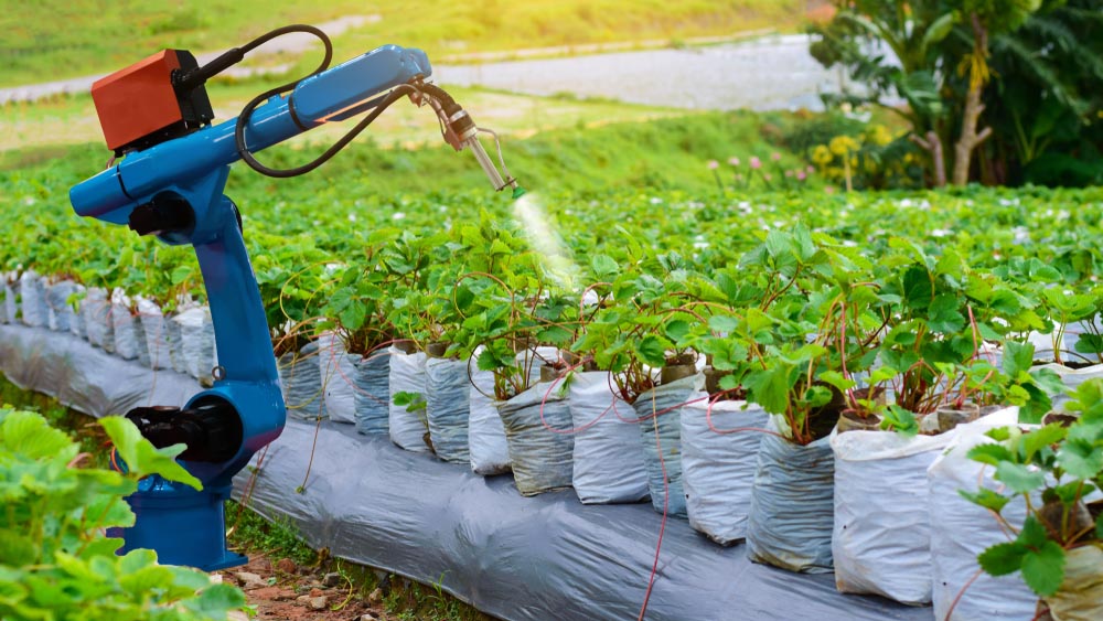 semina agricoltura robot
